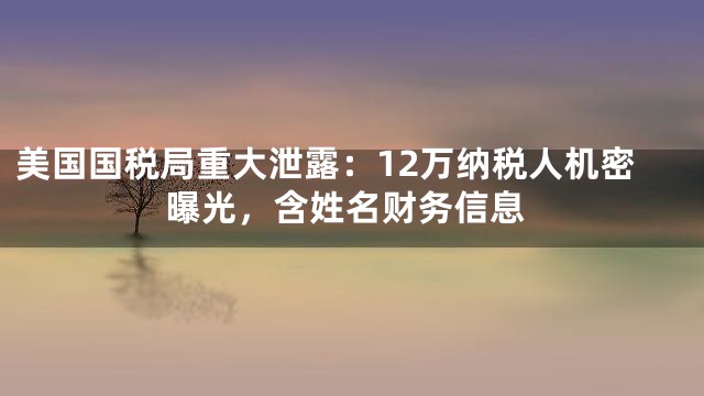 美国国税局重大泄露：12万纳税人机密曝光，含姓名财务信息