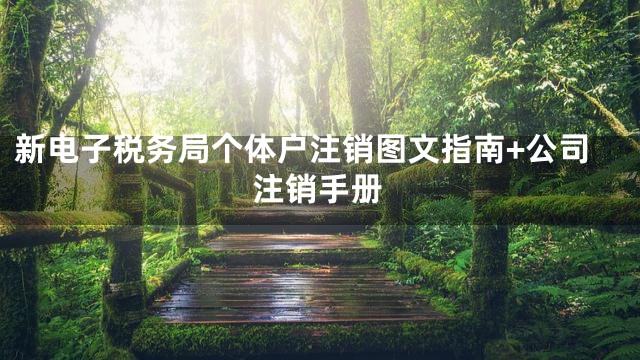 新电子税务局个体户注销图文指南+公司注销手册