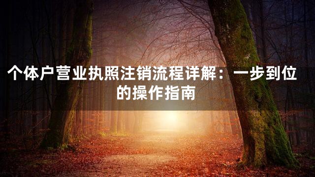 个体户营业执照注销流程详解：一步到位的操作指南