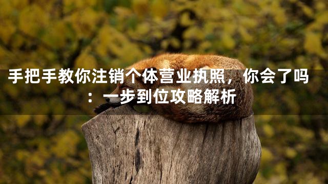 手把手教你注销个体营业执照，你会了吗：一步到位攻略解析