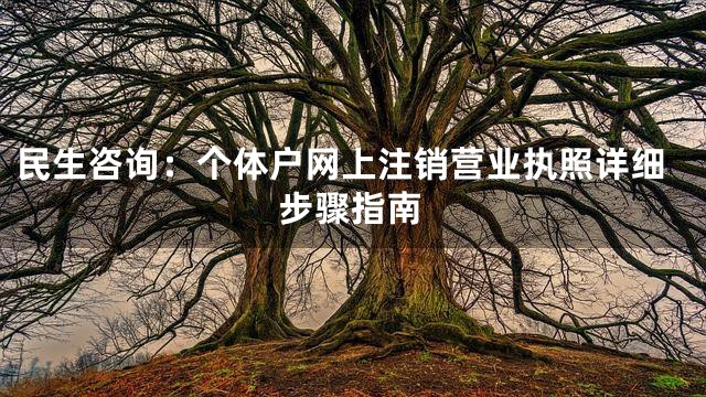 民生咨询：个体户网上注销营业执照详细步骤指南