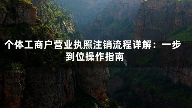 个体工商户营业执照注销流程详解：一步到位操作指南