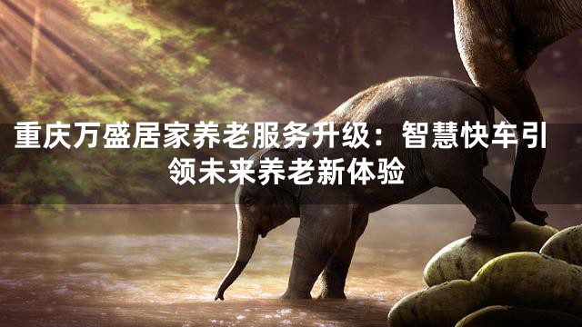 重庆万盛居家养老服务升级：智慧快车引领未来养老新体验