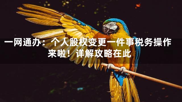 一网通办：个人股权变更一件事税务操作来啦！详解攻略在此