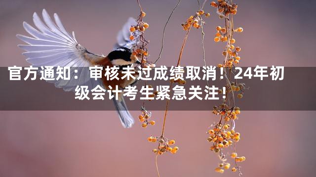 官方通知：审核未过成绩取消！24年初级会计考生紧急关注！