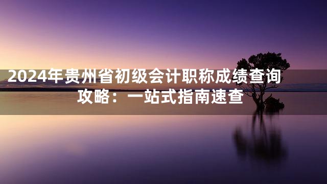 2024年贵州省初级会计职称成绩查询攻略：一站式指南速查
