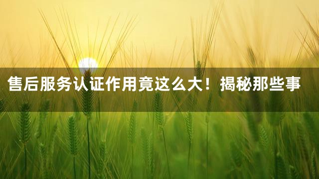 售后服务认证作用竟这么大！揭秘那些事