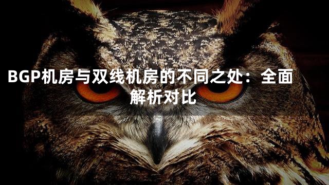 BGP机房与双线机房的不同之处：全面解析对比