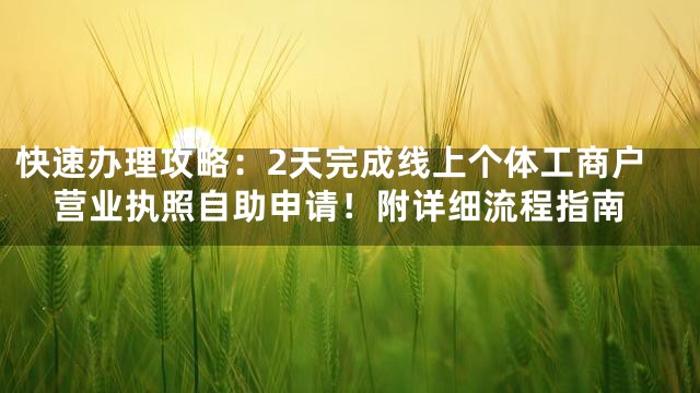 快速办理攻略：2天完成线上个体工商户营业执照自助申请！附详细流程指南