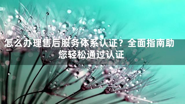 怎么办理售后服务体系认证？全面指南助您轻松通过认证