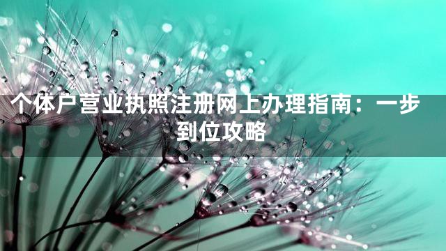 个体户营业执照注册网上办理指南：一步到位攻略