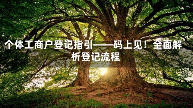 个体工商户登记指引——码上见！全面解析登记流程