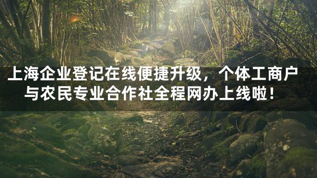 上海企业登记在线便捷升级，个体工商户与农民专业合作社全程网办上线啦！