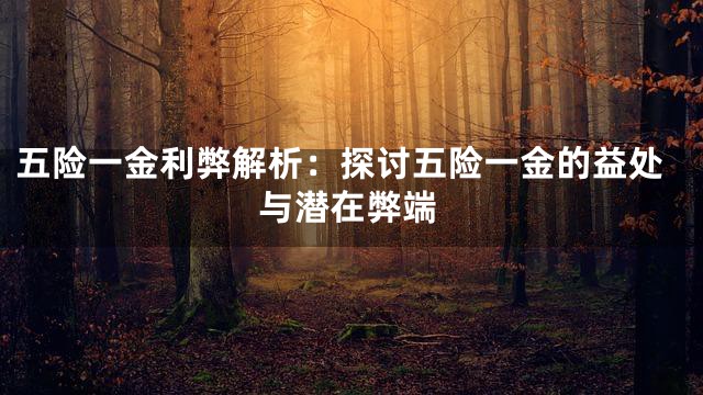 五险一金利弊解析：探讨五险一金的益处与潜在弊端