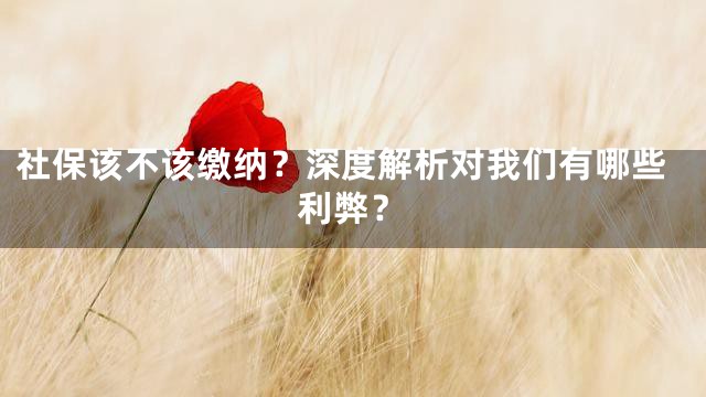 社保该不该缴纳？深度解析对我们有哪些利弊？
