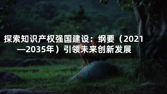 探索知识产权强国建设：纲要（2021—2035年）引领未来创新发展