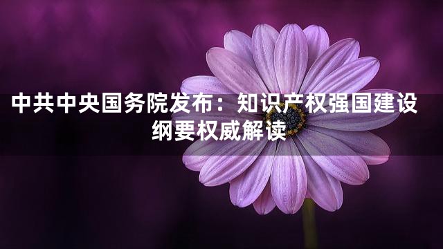 中共中央国务院发布：知识产权强国建设纲要权威解读