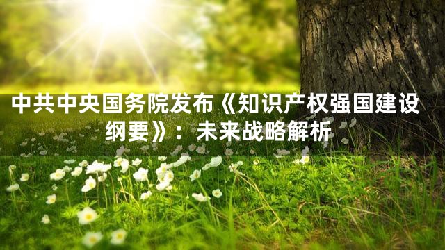 中共中央国务院发布《知识产权强国建设纲要》：未来战略解析
