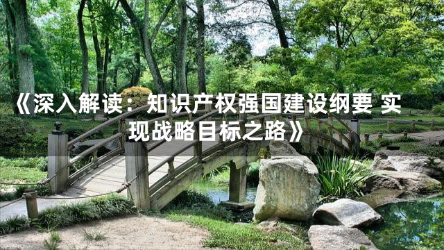 《深入解读：知识产权强国建设纲要 实现战略目标之路》