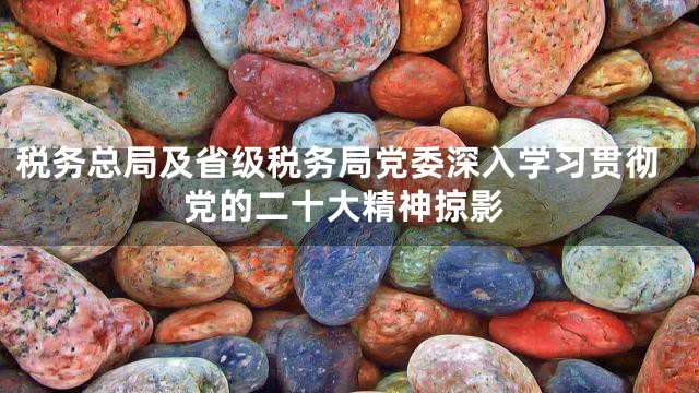 税务总局及省级税务局党委深入学习贯彻党的二十大精神掠影