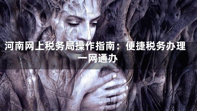 河南网上税务局操作指南：便捷税务办理一网通办