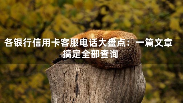 各银行信用卡客服电话大盘点：一篇文章搞定全部查询