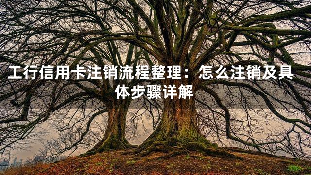 工行信用卡注销流程整理：怎么注销及具体步骤详解