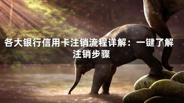 各大银行信用卡注销流程详解：一键了解注销步骤