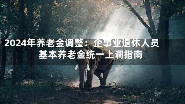 2024年养老金调整：企事业退休人员基本养老金统一上调指南