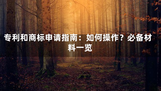 专利和商标申请指南：如何操作？必备材料一览