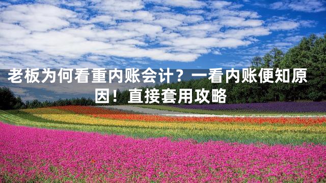 老板为何看重内账会计？一看内账便知原因！直接套用攻略