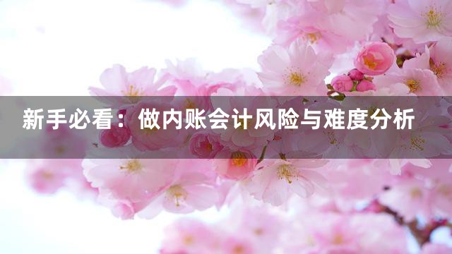 新手必看：做内账会计风险与难度分析