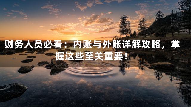 财务人员必看：内账与外账详解攻略，掌握这些至关重要！