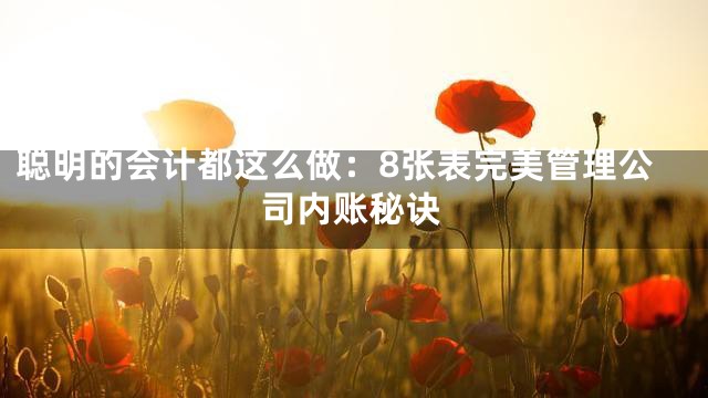 聪明的会计都这么做：8张表完美管理公司内账秘诀