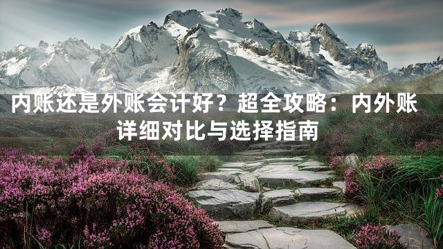 内账还是外账会计好？超全攻略：内外账详细对比与选择指南