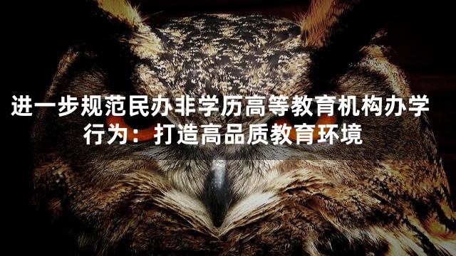 进一步规范民办非学历高等教育机构办学行为：打造高品质教育环境