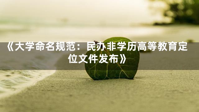 《大学命名规范：民办非学历高等教育定位文件发布》