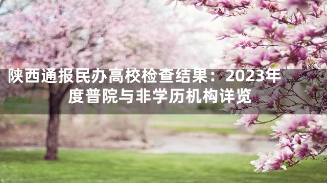 陕西通报民办高校检查结果：2023年度普院与非学历机构详览