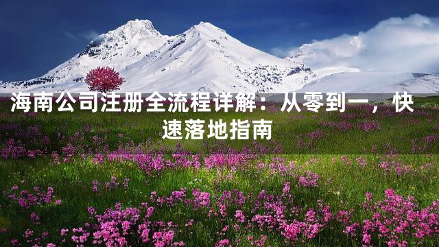 海南公司注册全流程详解：从零到一，快速落地指南