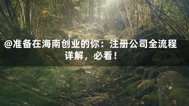 @准备在海南创业的你：注册公司全流程详解，必看！