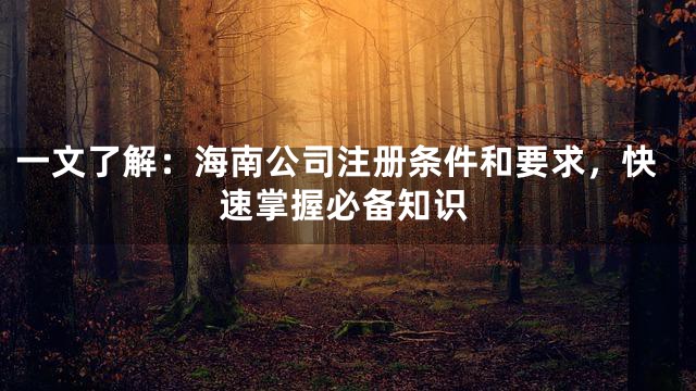 一文了解：海南公司注册条件和要求，快速掌握必备知识