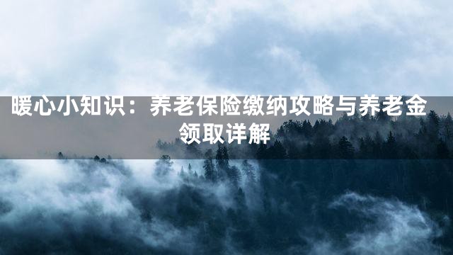 暖心小知识：养老保险缴纳攻略与养老金领取详解