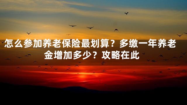 怎么参加养老保险最划算？多缴一年养老金增加多少？攻略在此