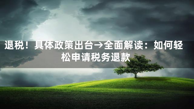 退税！具体政策出台→全面解读：如何轻松申请税务退款