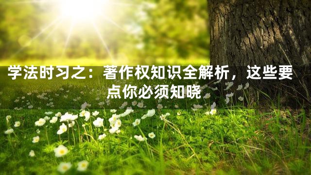 学法时习之：著作权知识全解析，这些要点你必须知晓