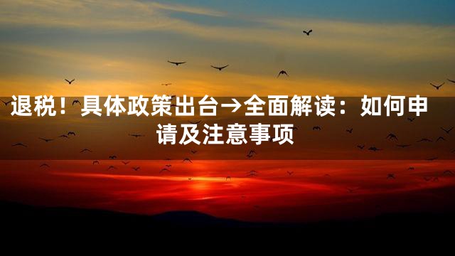 退税！具体政策出台→全面解读：如何申请及注意事项