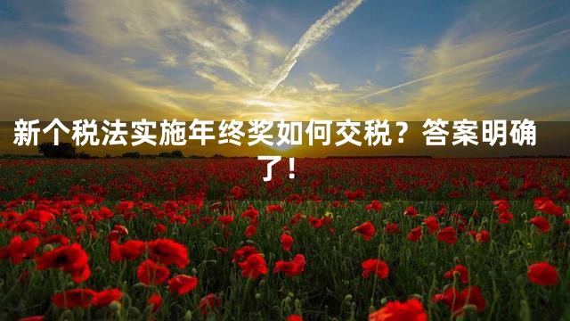 新个税法实施年终奖如何交税？答案明确了！