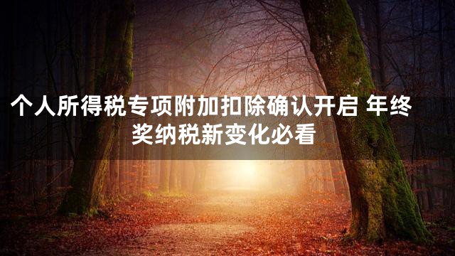 个人所得税专项附加扣除确认开启 年终奖纳税新变化必看