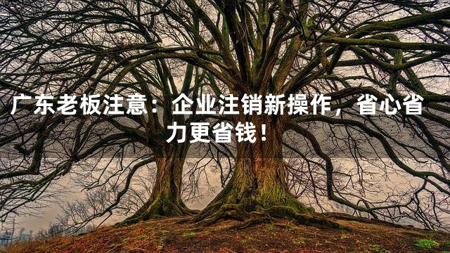 广东老板注意：企业注销新操作，省心省力更省钱！