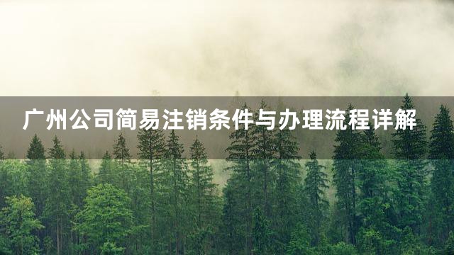 广州公司简易注销条件与办理流程详解